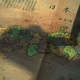 Image for article titled New Total War Coming, Has A Taste For The Orient